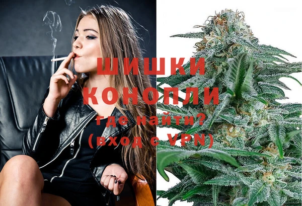 мескалин Богданович