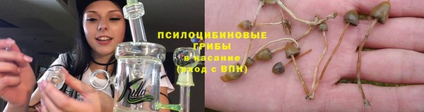 ешки Снежинск