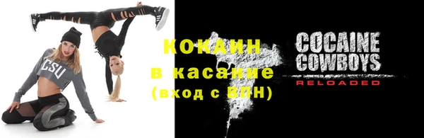соль ск Богородицк