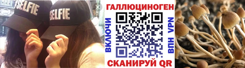 Псилоцибиновые грибы MAGIC MUSHROOMS  Наро-Фоминск 